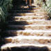 l'escalier.