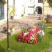 un jardin
